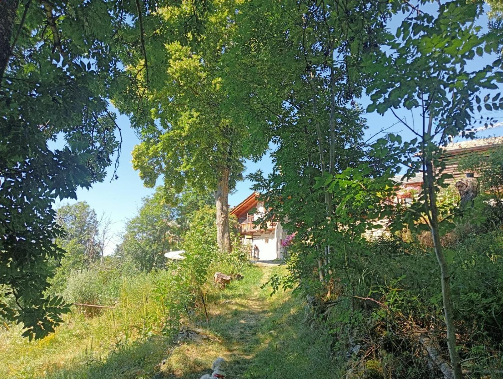Home Sweet Home Antey-Saint-André Esterno foto